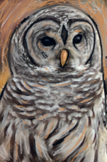 Owl Canvas Benefitting Stormy Oaks Nature Conservancy